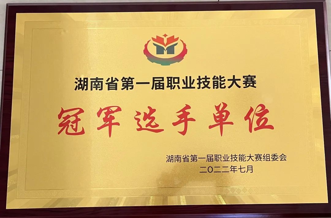 华亿体育荣获湖南省第一届职业技能大赛冠军选手单位荣誉称号